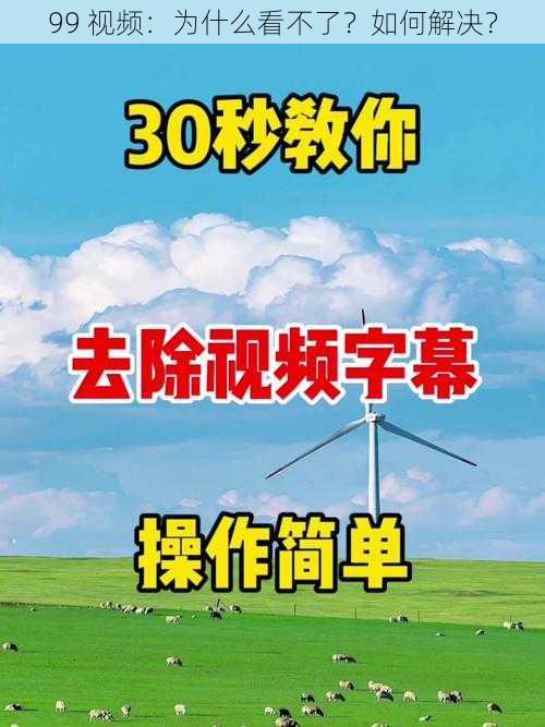 99 视频：为什么看不了？如何解决？