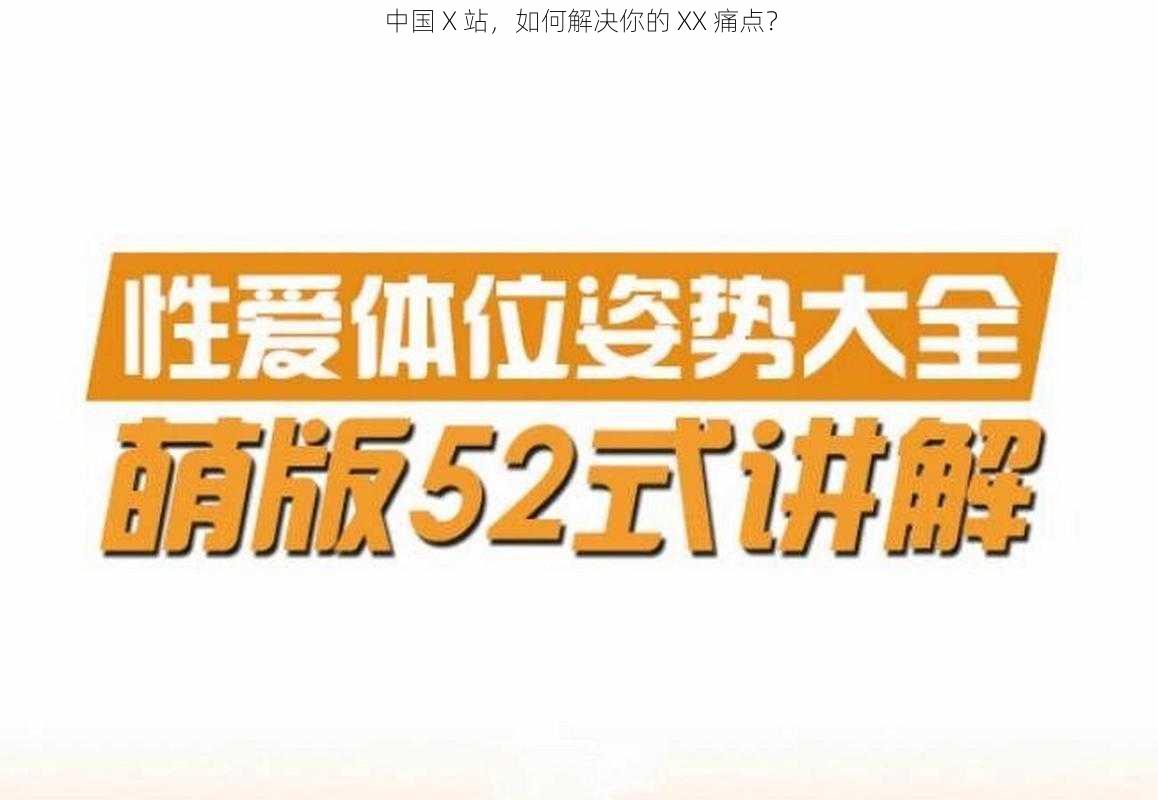 中国 X 站，如何解决你的 XX 痛点？