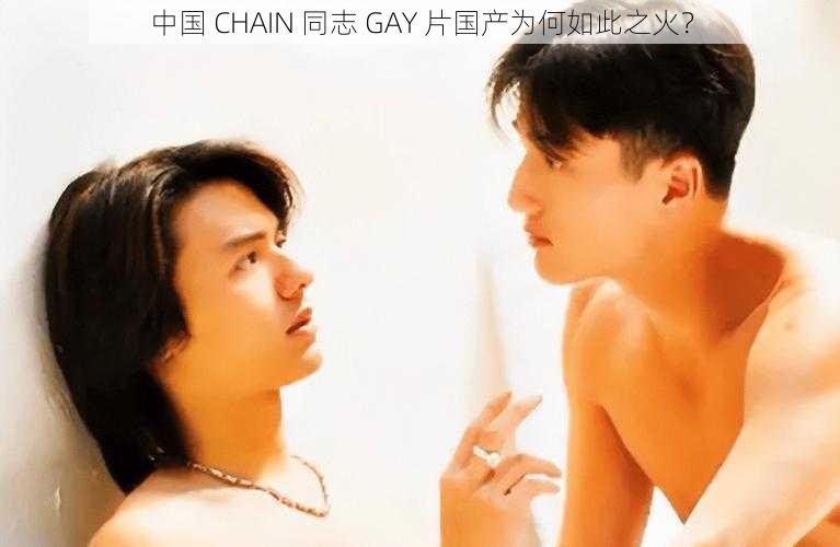 中国 CHAIN 同志 GAY 片国产为何如此之火？