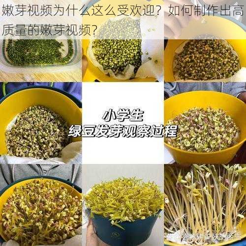 嫩芽视频为什么这么受欢迎？如何制作出高质量的嫩芽视频？