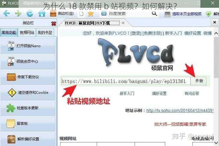 为什么 18 款禁用 b 站视频？如何解决？
