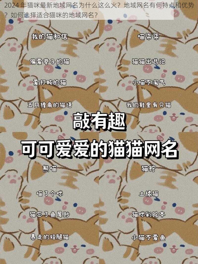 2024 年猫咪最新地域网名为什么这么火？地域网名有何特点和优势？如何选择适合猫咪的地域网名？