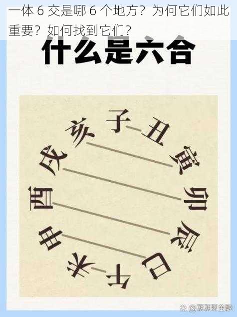 一体 6 交是哪 6 个地方？为何它们如此重要？如何找到它们？