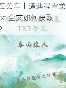 在公车上遭遇程雪柔，txt 全文如何获取？